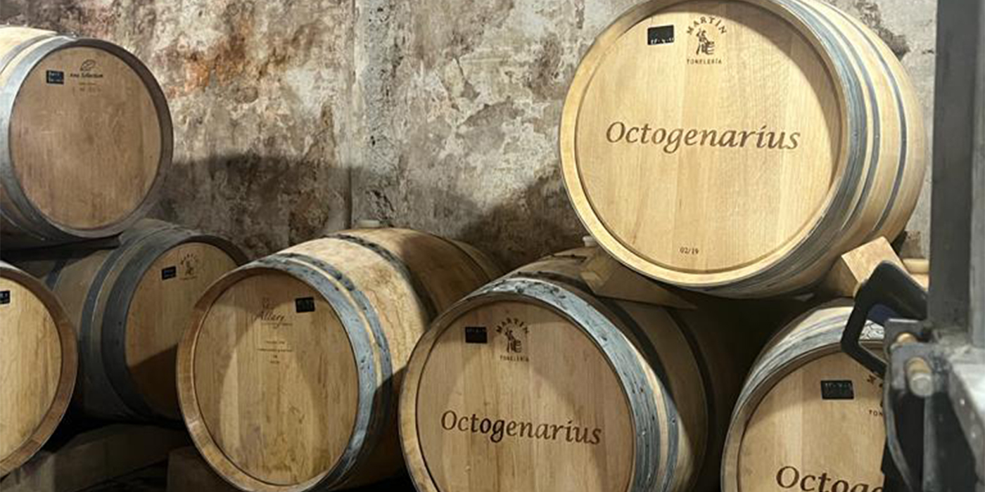 Banner Bodega Gama Calado