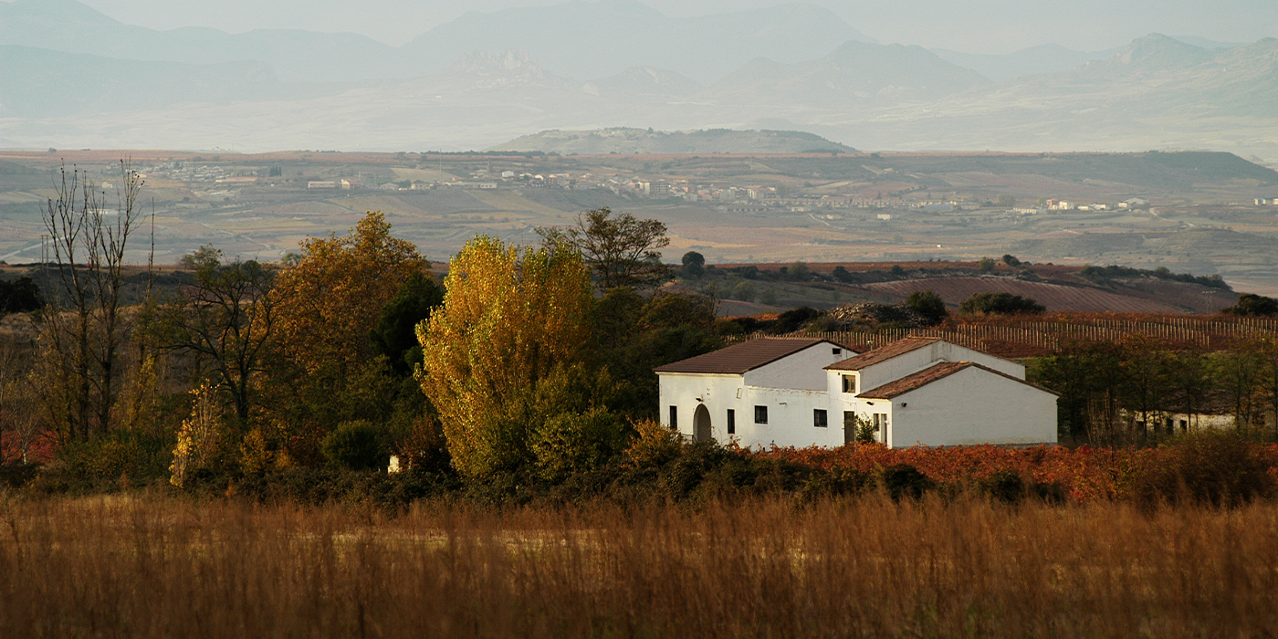 Banner Bodegas Larraz 1 Paisaje