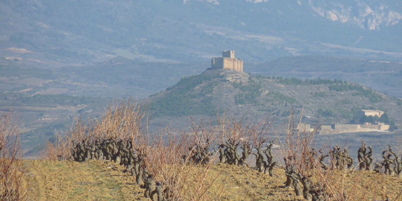 Banner Bodegareminde