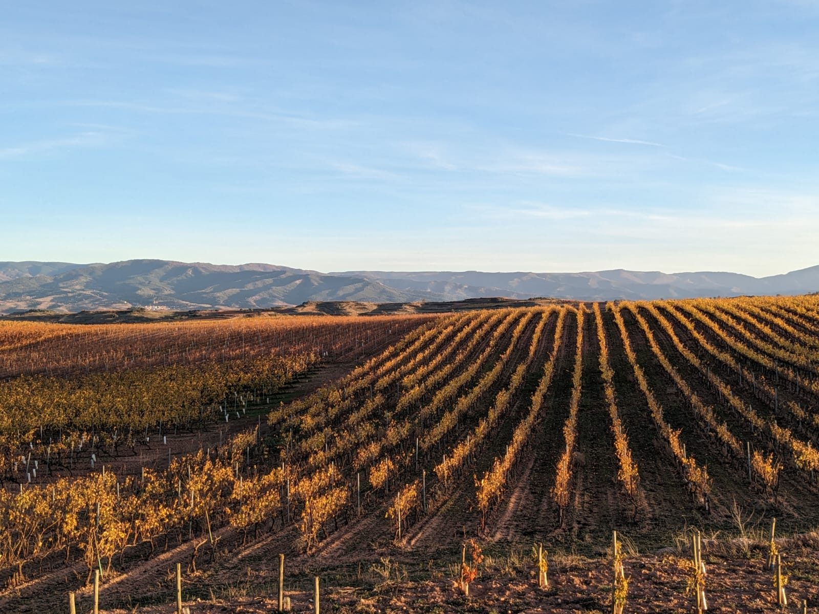 Whatsapp Image 2025 03 09 At 20.05.45