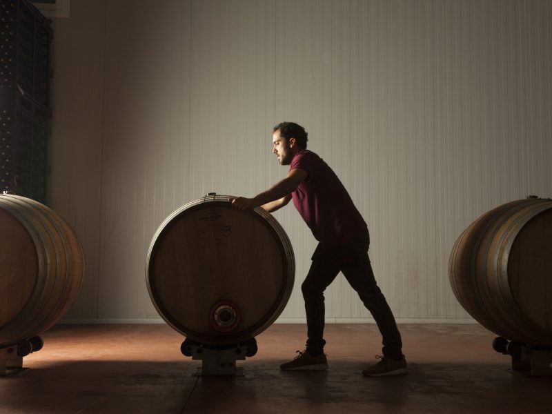 Destacado Bodegahorola