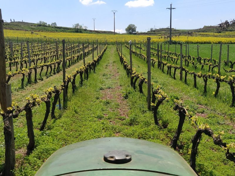 Destacado Bodegajairus